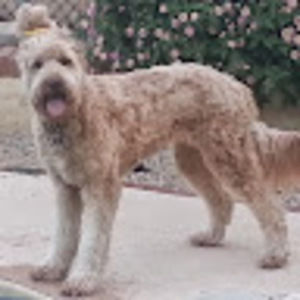 Meet your Posher, Jill